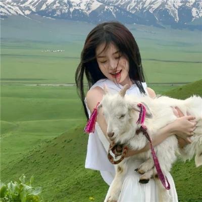 唐人阿吉 海报